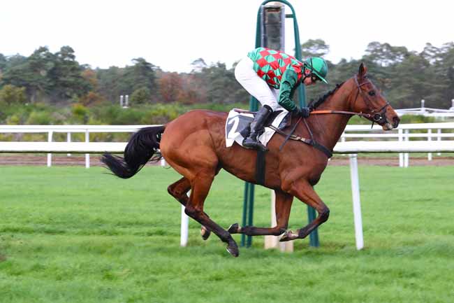 Photo d'arrivée de la course pmu PRIX PAIUTE à FONTAINEBLEAU le Vendredi 8 novembre 2019