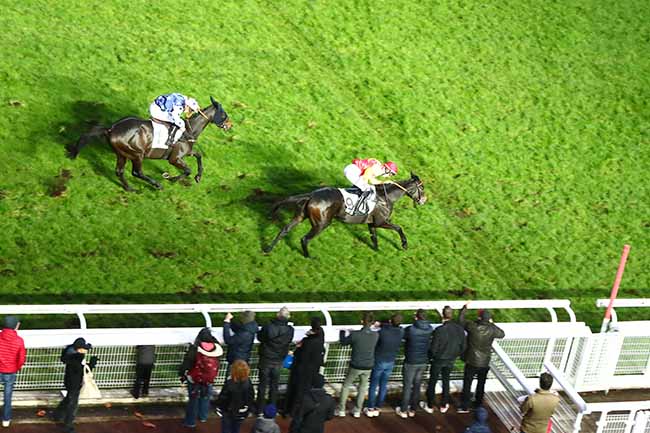 Photo d'arrivée de la course pmu PRIX TOURNAY à AUTEUIL le Dimanche 10 novembre 2019