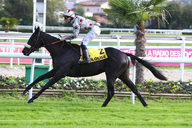 Photo d'arrivée de la course pmu CRITERIUM DU LANGUEDOC - PRIX BERNARD DE MARMIESSE à TOULOUSE le Lundi 11 novembre 2019