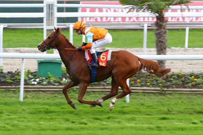 Photo d'arrivée de la course pmu PRIX DE LA VILLE DE TOULOUSE - PRIX TOULOUSE FM à TOULOUSE le Lundi 11 novembre 2019