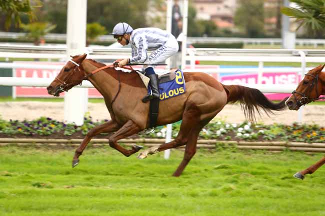 Photo d'arrivée de la course pmu PRIX FILLE DE L'AIR à TOULOUSE le Lundi 11 novembre 2019