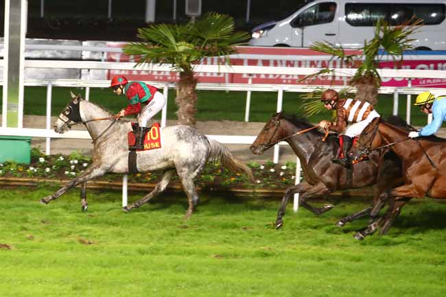Photo d'arrivée de la course pmu PRIX QUARTIER DE SAINT-CYPRIEN à TOULOUSE le Lundi 11 novembre 2019