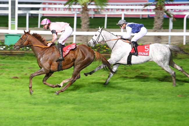 Photo d'arrivée de la course pmu PRIX D'ASSEZAT à TOULOUSE le Lundi 11 novembre 2019