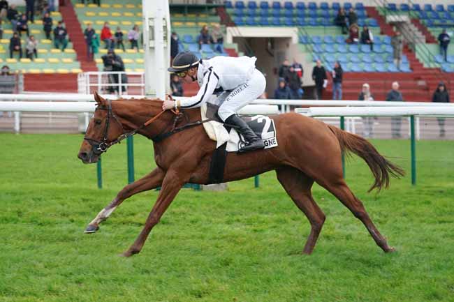 Photo d'arrivée de la course pmu PRIX SPERANZA à COMPIEGNE le Lundi 11 novembre 2019
