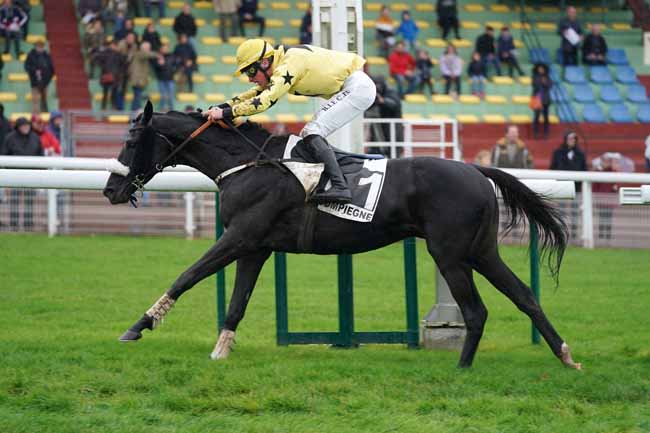 Photo d'arrivée de la course pmu PRIX STYRAX à COMPIEGNE le Lundi 11 novembre 2019