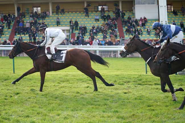 Photo d'arrivée de la course pmu PRIX LYCOMING à COMPIEGNE le Lundi 11 novembre 2019