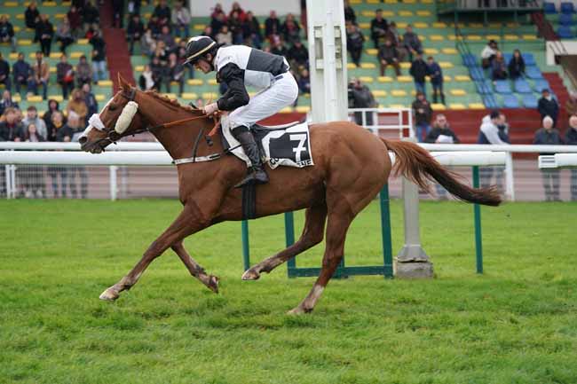 Photo d'arrivée de la course pmu PRIX DE LA HAGUE à COMPIEGNE le Lundi 11 novembre 2019