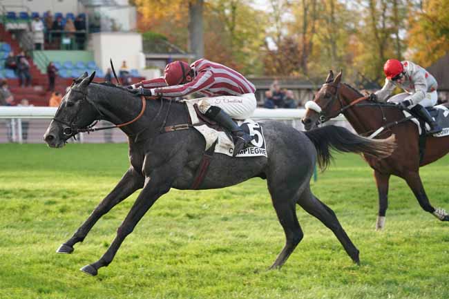 Photo d'arrivée de la course pmu PRIX DANIEL MERLE à COMPIEGNE le Lundi 11 novembre 2019