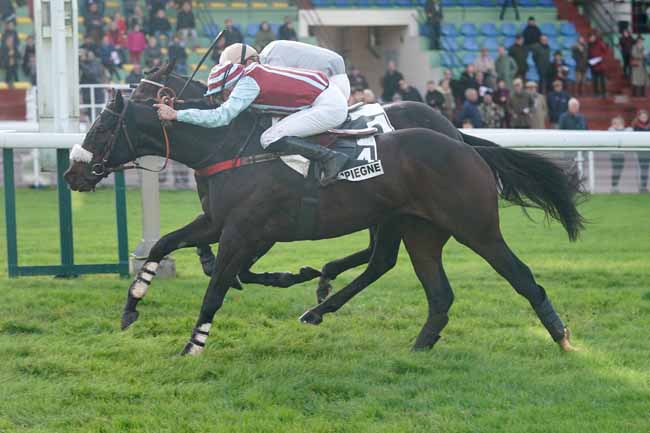 Photo d'arrivée de la course pmu PRIX ROGER SAINT à COMPIEGNE le Lundi 11 novembre 2019