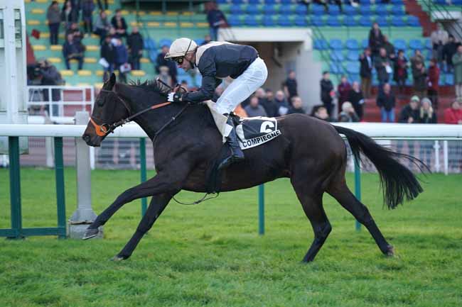 Photo d'arrivée de la course pmu GRAND STEEPLE-CHASE - CROSS-COUNTRY DE COMPIEGNE à COMPIEGNE le Lundi 11 novembre 2019