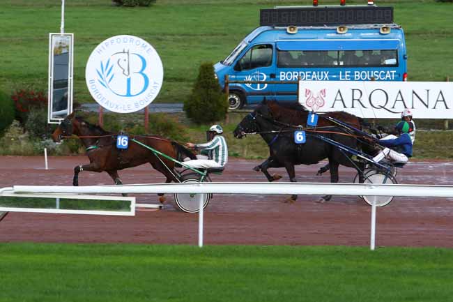 Photo d'arrivée de la course pmu PRIX MARQUISE DE MORATALLA à BORDEAUX-LE BOUSCAT le Mardi 12 novembre 2019