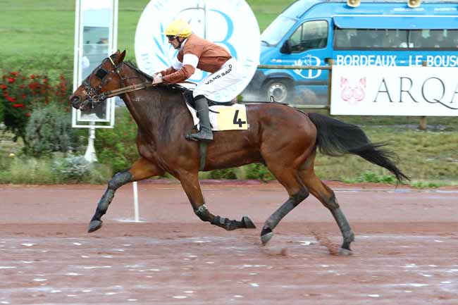 Photo d'arrivée de la course pmu PRIX FANDANGO à BORDEAUX-LE BOUSCAT le Mardi 12 novembre 2019