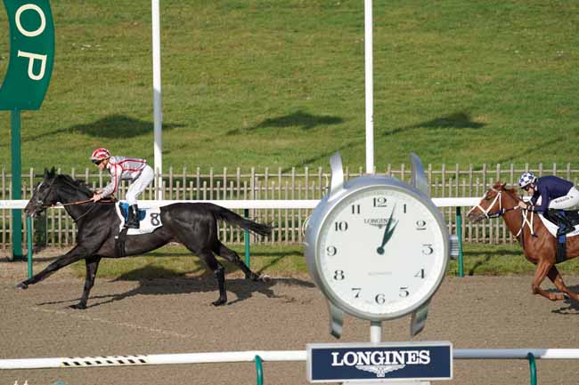 Photo d'arrivée de la course pmu PRIX DE GATELIERE à CHANTILLY le Mardi 12 novembre 2019