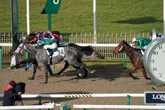 Photo d'arrivée de la course pmu PRIX DE BALIVIERE à CHANTILLY le Mardi 12 novembre 2019