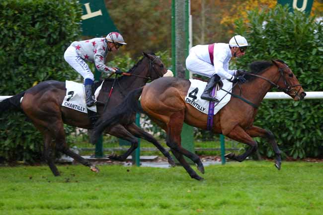Photo d'arrivée de la course pmu PRIX YACOWLEF à CHANTILLY le Mardi 12 novembre 2019