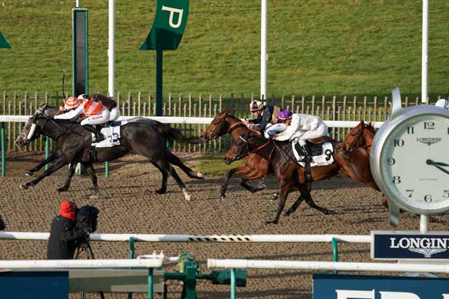 Photo d'arrivée de la course pmu PRIX DU PONT DU CANAL DES DRUIDES à CHANTILLY le Mardi 12 novembre 2019