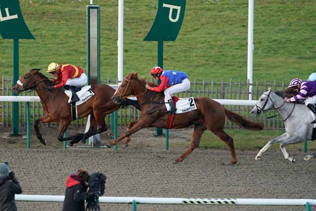 Photo d'arrivée de la course pmu PRIX DU PARC DU MANOIR à CHANTILLY le Mardi 12 novembre 2019