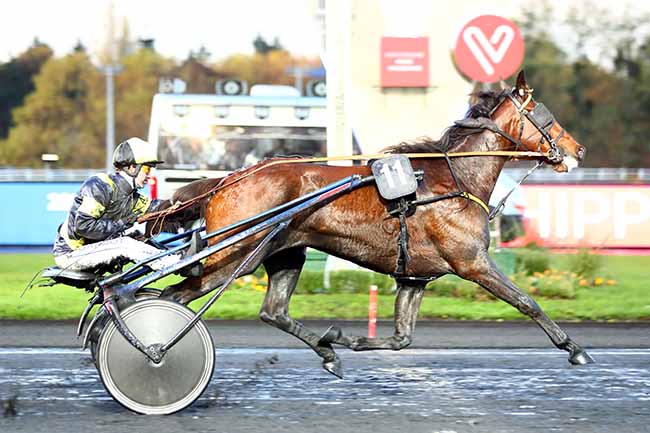 Photo d'arrivée de la course pmu PRIX MEBSUTA à PARIS-VINCENNES le Mardi 12 novembre 2019