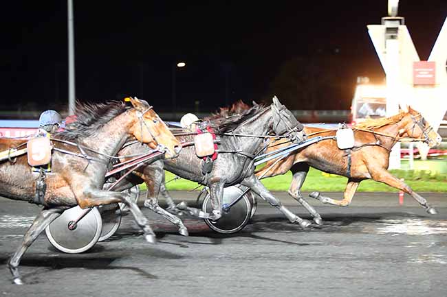 Photo d'arrivée de la course pmu PRIX FLORENTINA à PARIS-VINCENNES le Mardi 12 novembre 2019