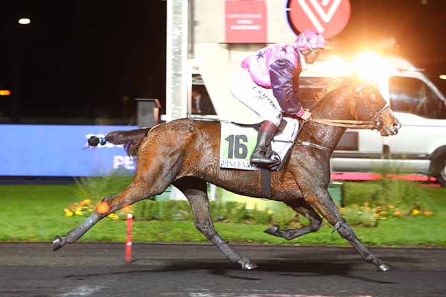 Photo d'arrivée de la course pmu PRIX SILESIA à PARIS-VINCENNES le Mardi 12 novembre 2019