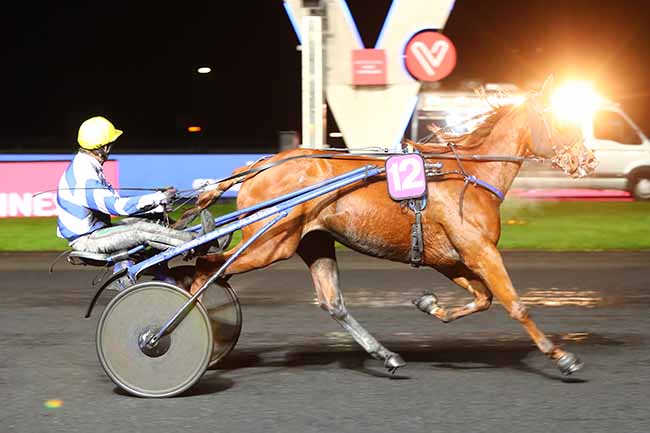 Photo d'arrivée de la course pmu PRIX GYPTIS à PARIS-VINCENNES le Mardi 12 novembre 2019