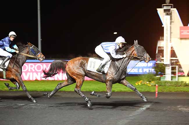 Photo d'arrivée de la course pmu PRIX PSYCHE à PARIS-VINCENNES le Mardi 12 novembre 2019