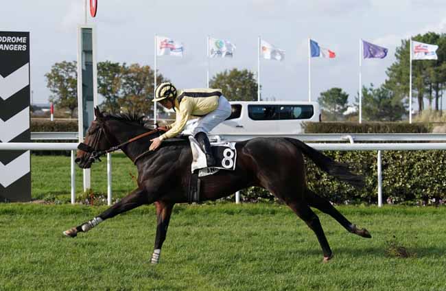 Photo d'arrivée de la course pmu HANDICAP D'ANGERS LOIRE METROPOLE à ANGERS le Mercredi 13 novembre 2019