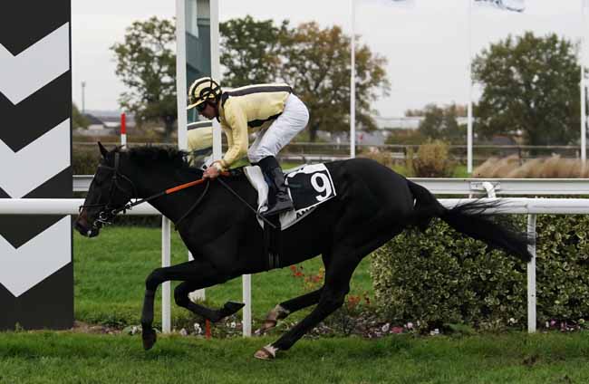 Photo d'arrivée de la course pmu PRIX PLANTAGENET à ANGERS le Mercredi 13 novembre 2019