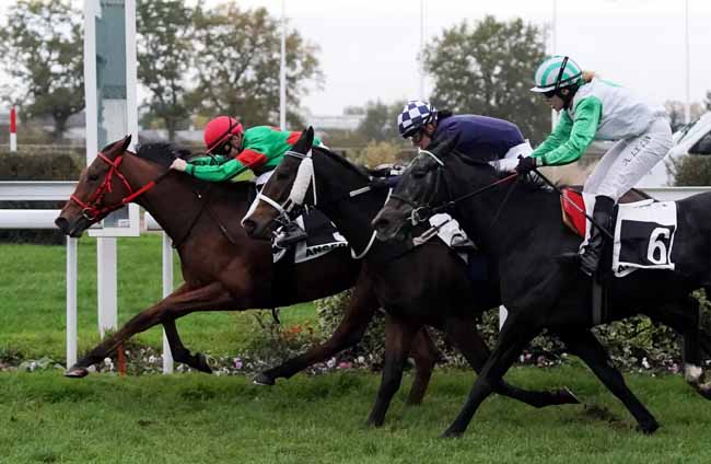 Photo d'arrivée de la course pmu PRIX HENRI CHEVALIER DU FAU à ANGERS le Mercredi 13 novembre 2019