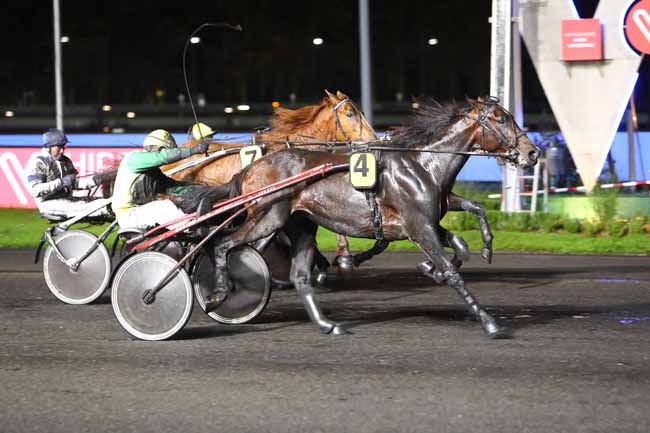 Photo d'arrivée de la course pmu PRIX VULPECULA à PARIS-VINCENNES le Vendredi 15 novembre 2019