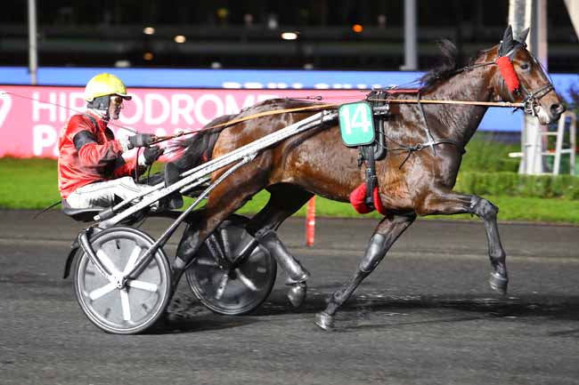 Photo d'arrivée de la course pmu PRIX SIWA à PARIS-VINCENNES le Vendredi 15 novembre 2019