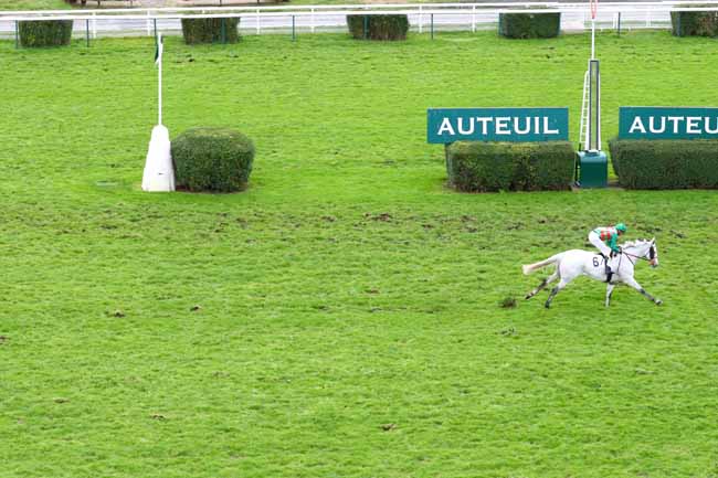 Photo d'arrivée de la course pmu PRIX METATERO à AUTEUIL le Samedi 16 novembre 2019