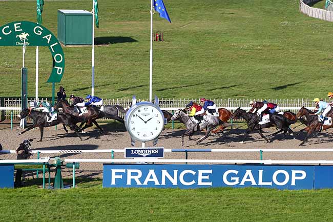 Photo d'arrivée de la course pmu PRIX DU PADDOCK à CHANTILLY le Mardi 19 novembre 2019