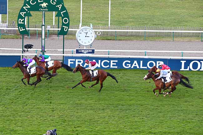 Photo d'arrivée de la course pmu PRIX HEROD à CHANTILLY le Mardi 19 novembre 2019
