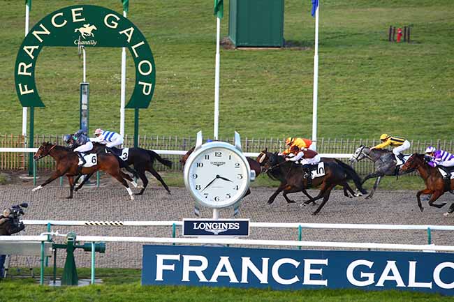 Photo d'arrivée de la course pmu PRIX DE LA BERGENRIE à CHANTILLY le Mardi 19 novembre 2019