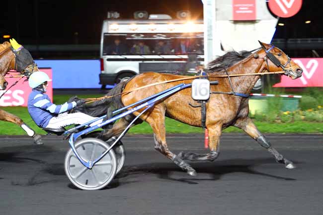 Photo d'arrivée de la course pmu PRIX OSTARA à PARIS-VINCENNES le Mardi 19 novembre 2019