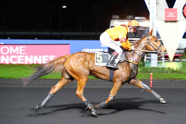 Photo d'arrivée de la course pmu PRIX LEONA à PARIS-VINCENNES le Mardi 19 novembre 2019