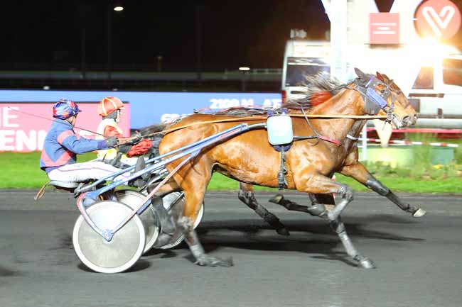 Photo d'arrivée de la course pmu PRIX TERCIDINA à PARIS-VINCENNES le Mardi 19 novembre 2019