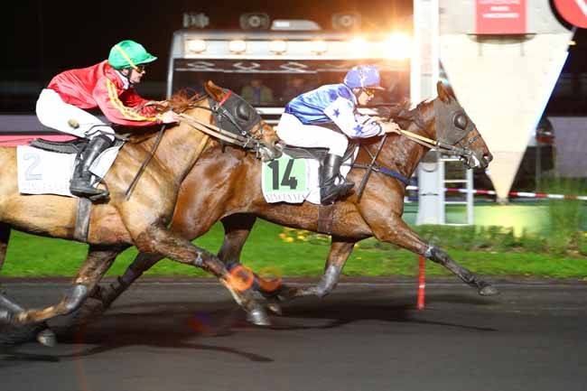 Photo d'arrivée de la course pmu PRIX ADELHEID à PARIS-VINCENNES le Mardi 19 novembre 2019