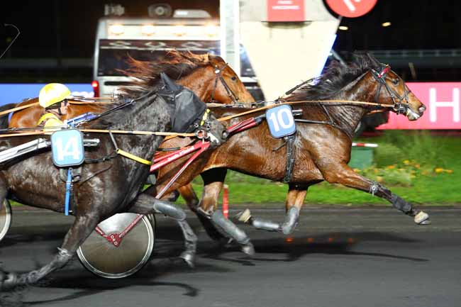 Photo d'arrivée de la course pmu PRIX POLYXO à PARIS-VINCENNES le Mardi 19 novembre 2019