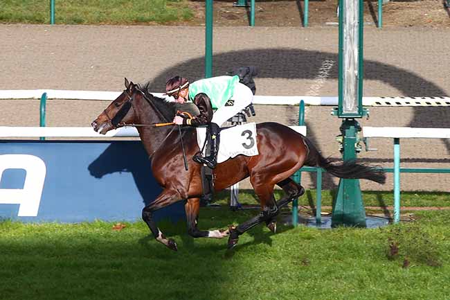 Photo d'arrivée de la course pmu PRIX RHEINGOLD à CHANTILLY MATINEE le Mardi 19 novembre 2019