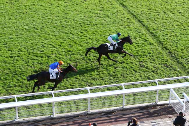 Photo d'arrivée de la course pmu PRIX KERYM à AUTEUIL le Mercredi 20 novembre 2019