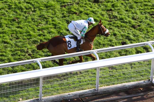 Photo d'arrivée de la course pmu PRIX DE COYE à AUTEUIL le Mercredi 20 novembre 2019