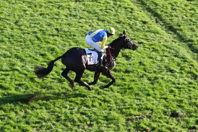 Photo d'arrivée de la course pmu PRIX LEOPOLD BARA à AUTEUIL le Mercredi 20 novembre 2019