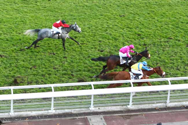 Photo d'arrivée de la course pmu PRIX MARLY RIVER à AUTEUIL le Mercredi 20 novembre 2019