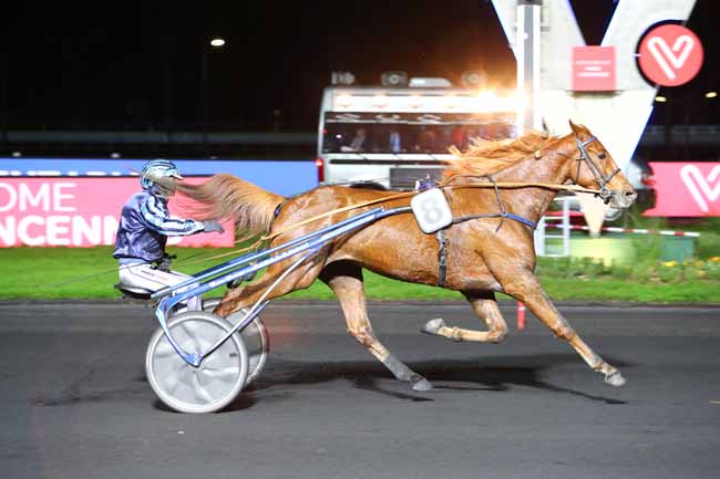 Photo d'arrivée de la course pmu PRIX HERMENTARIA à PARIS-VINCENNES le Vendredi 22 novembre 2019