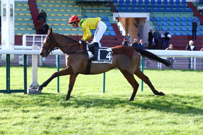 Photo d'arrivée de la course pmu PRIX DES COUDRAIES - BERNARD SECLY à COMPIEGNE le Vendredi 22 novembre 2019