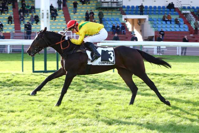 Photo d'arrivée de la course pmu PRIX GENERAL DE SAINT-DIDIER à COMPIEGNE le Vendredi 22 novembre 2019