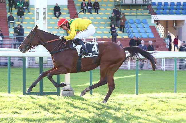 Photo d'arrivée de la course pmu PRIX LEOPOLD D'ORSETTI - GRANDE COURSE DE HAIES DE COMPIEGNE à COMPIEGNE le Vendredi 22 novembre 2019