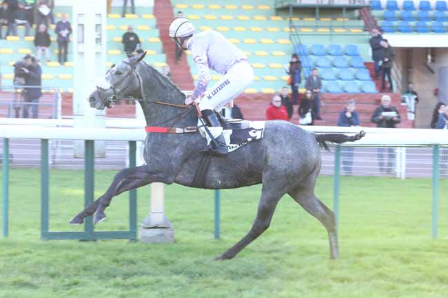 Photo d'arrivée de la course pmu PRIX DU TREPORT à COMPIEGNE le Vendredi 22 novembre 2019